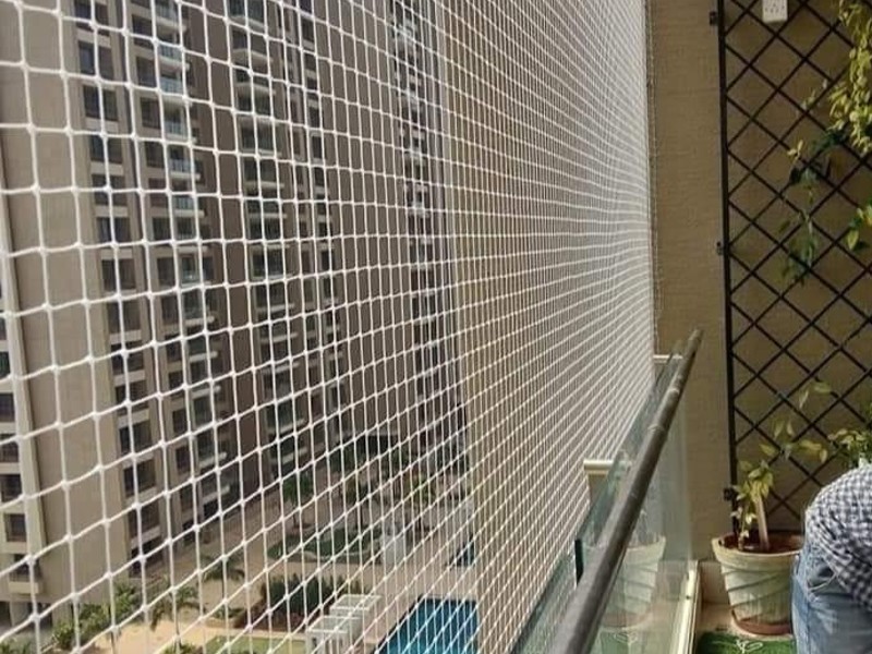 Bird Net Installation